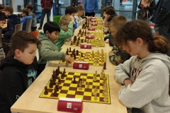 340512587_241350701714596_1921727079197396698_n