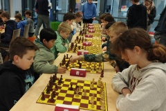 340874809_773830377359296_7208892690040746494_n